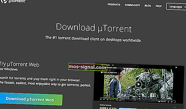 На странице загрузки uTorrent открываются загруженные файлы [Windows 10 и Mac]