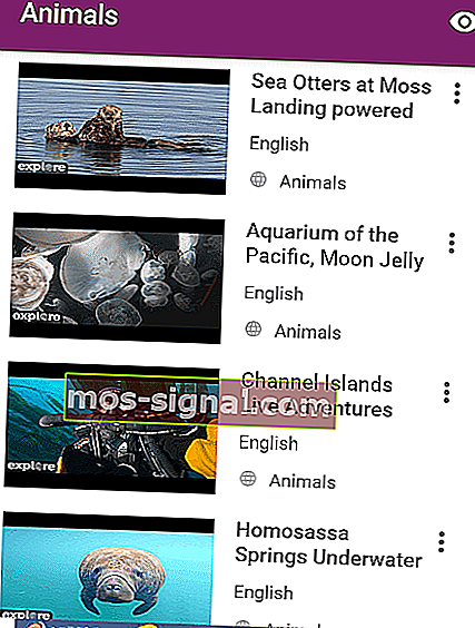 bekijk dierenvideo's op Mobdro