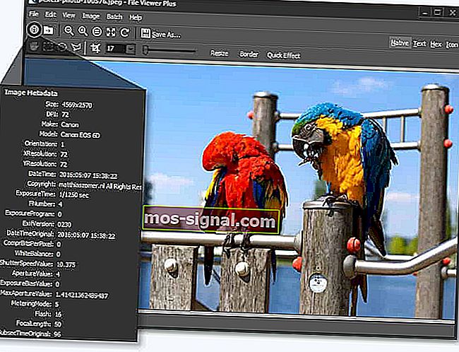 File Viewer Plus 2 - лучший просмотрщик фотографий для Windows
