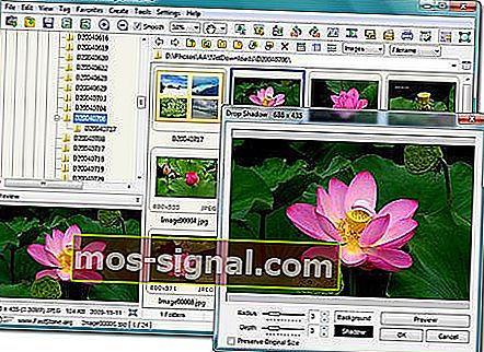Программа просмотра фотографий FastStone для Windows 7