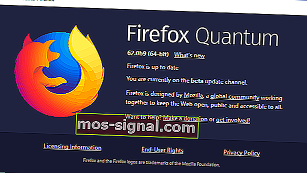 Невозможно ввести в браузере Firefox